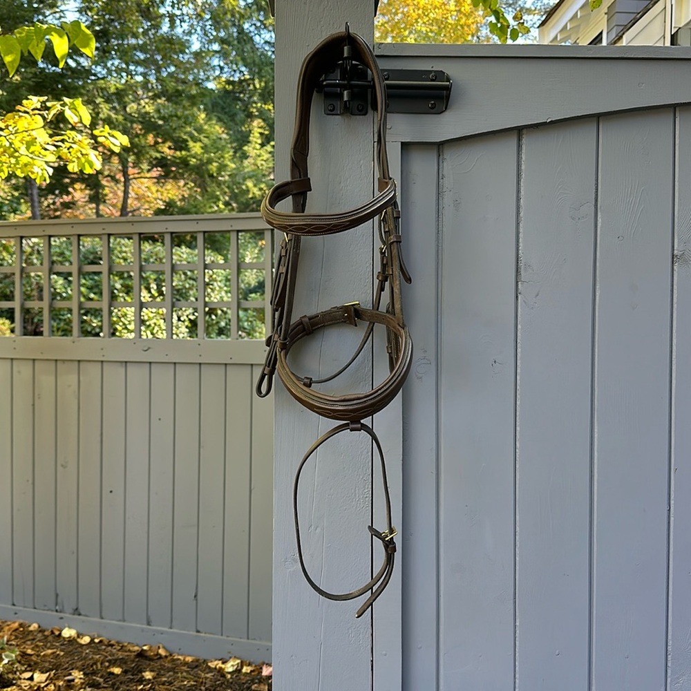 LeMieux Competition Bridle w/ Removable Flash (COB)